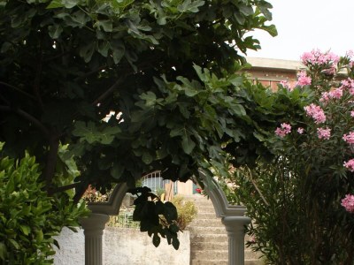 Apartment One bedroom apartment with balcony Gradac, Makarska A-6820-c - Outdoor photo 6