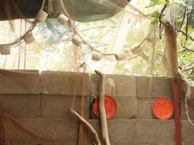 Apartment One bedroom apartment with balcony Gradac, Makarska A-6820-c - Outdoor photo 11