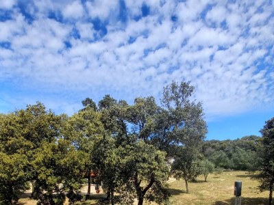 Apartment One bedroom apartment near beach Cove Mulobedanj, Pag A-6275-d - Outdoor photo 13