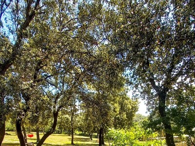 Apartment One bedroom apartment near beach Cove Mulobedanj, Pag A-6275-d - Outdoor photo 15