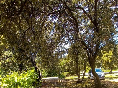 Apartment One bedroom apartment near beach Cove Mulobedanj, Pag A-6275-d - Outdoor photo 16