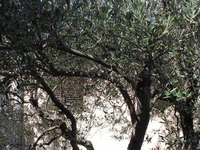 Apartment Two bedroom apartment with terrace and sea view Podgora, Makarska A-6779-a - Outdoor photo 5