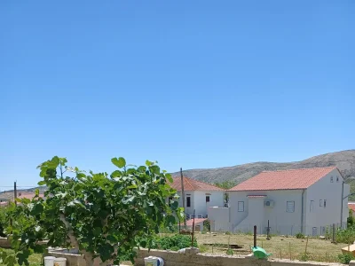 Apartment Four-bedroom apartment with terrace and sea view Pag A-6325-a - Outdoor photo 6