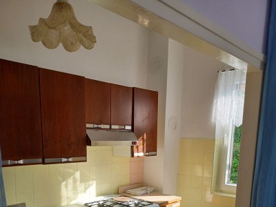 Apartment Four-bedroom apartment with terrace and sea view Pag A-6325-a - Outdoor photo 13