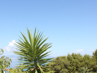 Apartment One bedroom apartment with air-conditioning Podgora, Makarska A-6911-b - Outdoor photo 7