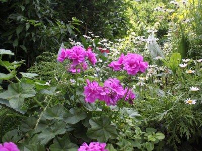 Apartment Three bedroom apartment near beach Podgora, Makarska A-6670-a - Outdoor photo 6