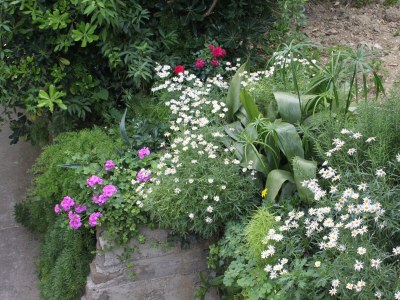 Apartment Studio flat near beach Podgora, Makarska AS-6670-b - Outdoor photo 7