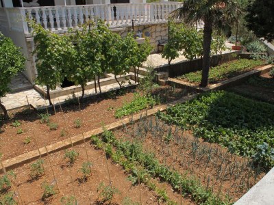 Apartment One bedroom apartment with terrace and sea view Novalja, Pag A-6524-b - Outdoor photo 10