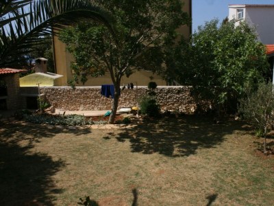 Apartment Apartments by the sea Mandre, Pag - 6516 - Apartments by the sea Mandre, Pag - 6516 - Outdoor photo 8