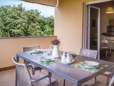 Apartment Apartments by the sea Mandre, Pag - 6516 - Apartments by the sea Mandre, Pag - 6516 - Outdoor photo 20