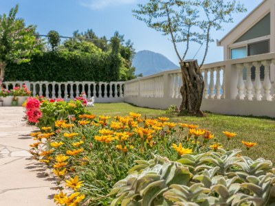 Apartment Studio flat with terrace and sea view Podaca, Makarska AS-6736-a - Outdoor photo 8