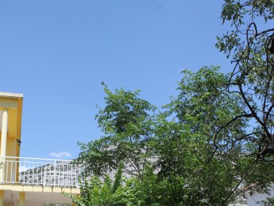 Apartment One bedroom apartment with terrace Starigrad, Paklenica A-6623-b - Outdoor photo 7