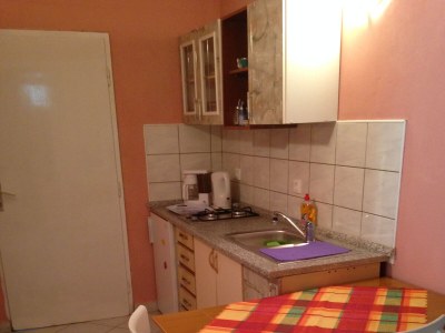 Apartment Two bedroom apartment with balcony Starigrad, Paklenica A-6623-c - Outdoor photo 11