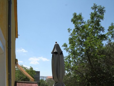 Apartment One bedroom apartment with balcony Starigrad, Paklenica A-6623-d - Outdoor photo 18