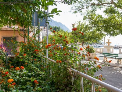 Apartment One bedroom apartment near beach Podgora, Makarska A-6846-a - Outdoor photo 8