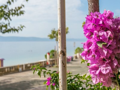 Apartment One bedroom apartment near beach Podgora, Makarska A-6846-a - Outdoor photo 23