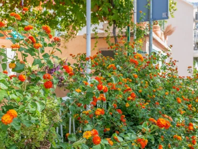 Apartment One bedroom apartment near beach Podgora, Makarska A-6846-b - Outdoor photo 6