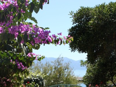Holiday room near beach Sućuraj, Hvar S-6734-c - Outdoor photo 8