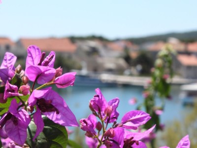 Holiday room near beach Sućuraj, Hvar S-6734-c - Outdoor photo 9