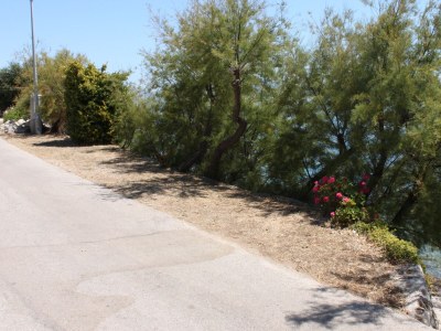Holiday room near beach Sućuraj, Hvar S-6734-c - Outdoor photo 11