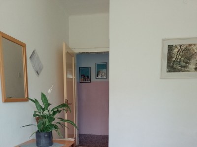 Holiday room near beach Sućuraj, Hvar S-6734-d - Outdoor photo 15