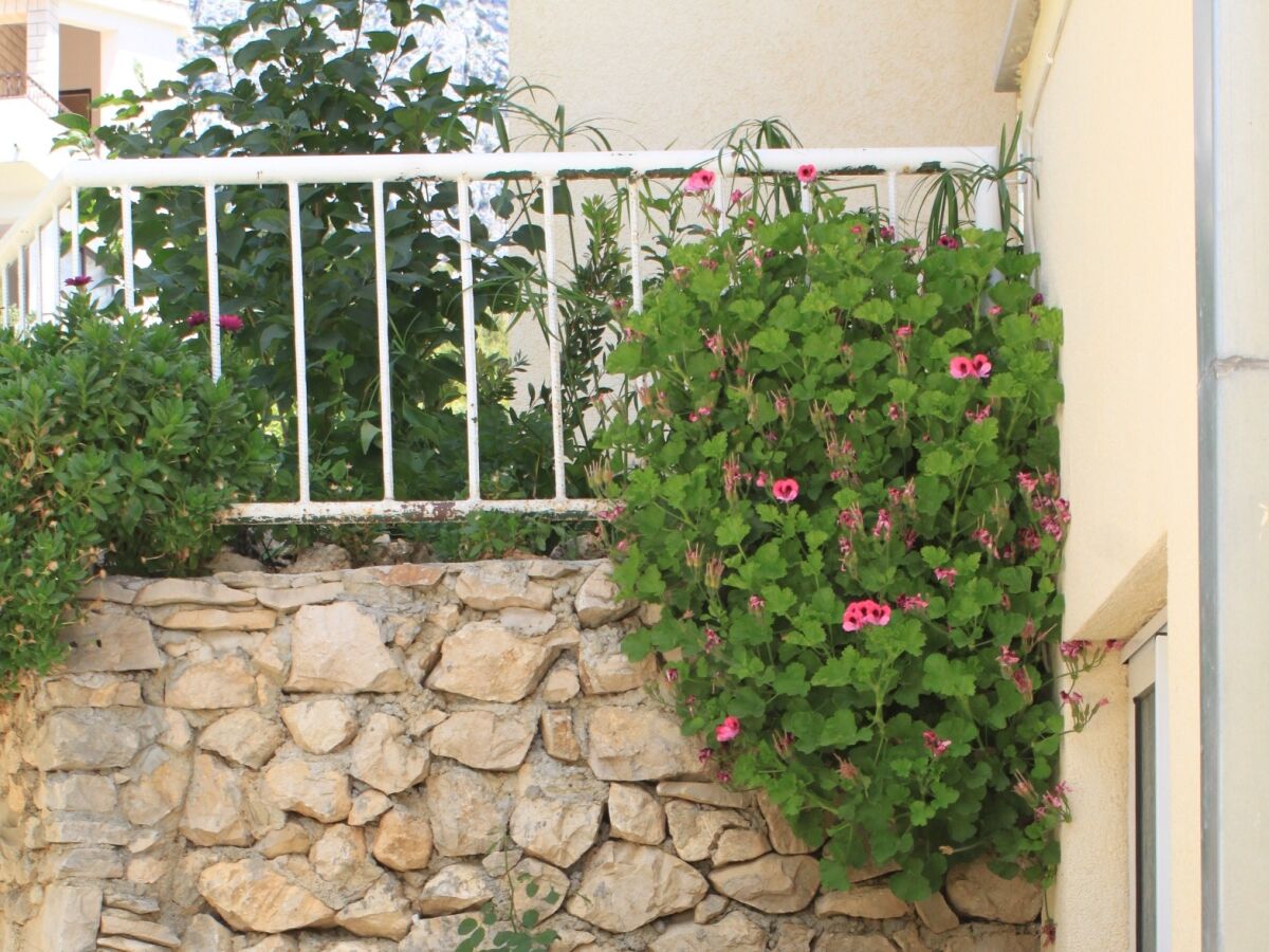 Apartment Studio flat with air-conditioning Tučepi, Makarska AS-6856-b - Outdoor photo 5