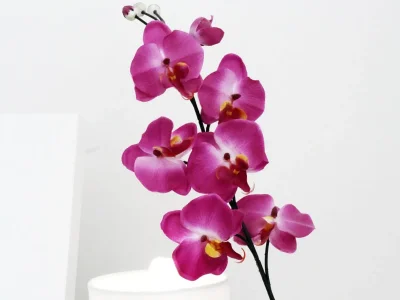 Holiday room with air-conditioning Split S-6973-a - Outdoor photo 4