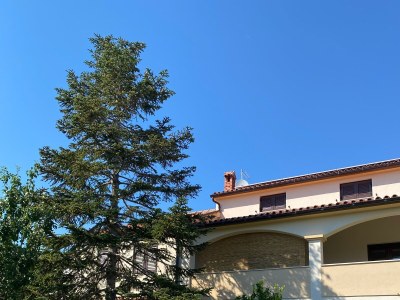 Apartment One bedroom apartment with terrace Medulin A-7295-b - Outdoor photo 4