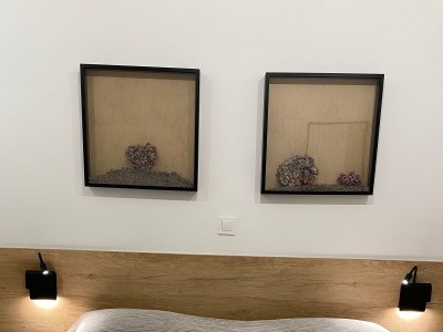 Apartment One bedroom apartment with terrace Medulin A-7295-b - Outdoor photo 13