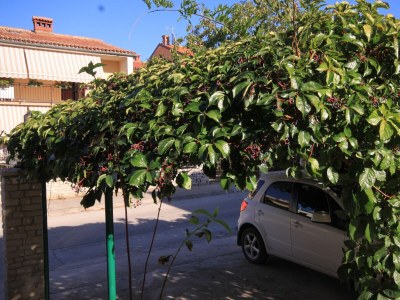 Apartment Studio flat with terrace Fažana AS-7234-a - Outdoor photo 14