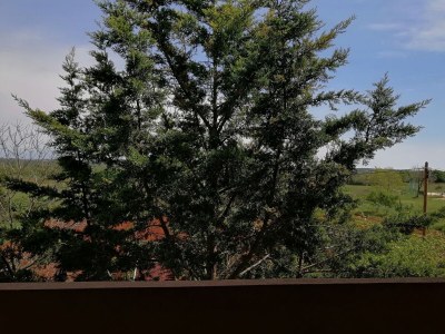 Apartment One bedroom apartment with balcony Valbandon, Fažana A-7355-d - Outdoor photo 15