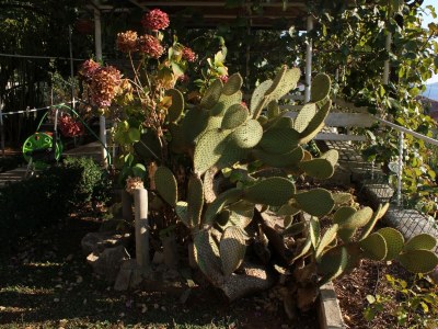 Apartment Two bedroom apartment with terrace and sea view Rabac, Labin A-7410-f - Outdoor photo 7