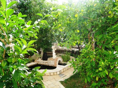 Apartment Two bedroom apartment with terrace and sea view Rabac, Labin A-7410-f - Outdoor photo 10