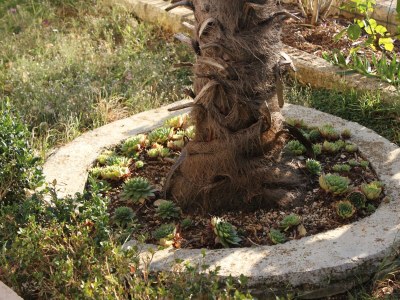 Apartment Two bedroom apartment with terrace and sea view Rabac, Labin A-7410-f - Outdoor photo 11