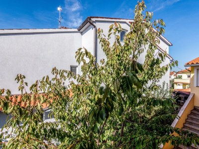 Apartment Three bedroom apartment with terrace Valbandon, Fažana A-7352-a - Outdoor photo 29