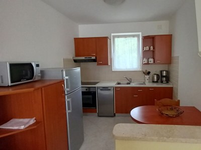 Apartment Two bedroom apartment with terrace and sea view Ičići, Opatija A-7885-a - Outdoor photo 19