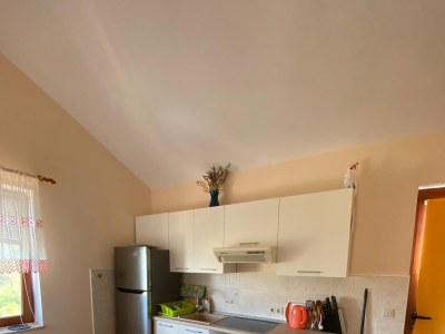 Apartment One bedroom apartment with terrace and sea view Ilovik, Lošinj A-8069-a - Outdoor photo 16