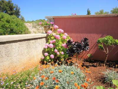 Apartment One bedroom apartment with terrace Ilovik, Lošinj A-8069-b - Outdoor photo 11