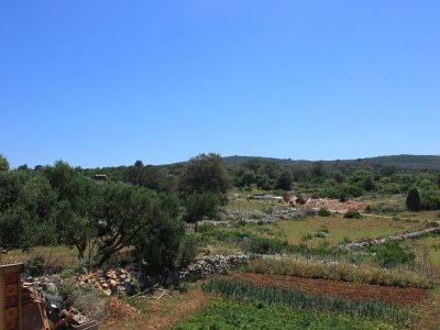 Apartment One bedroom apartment with terrace Ilovik, Lošinj A-8069-b - Outdoor photo 24