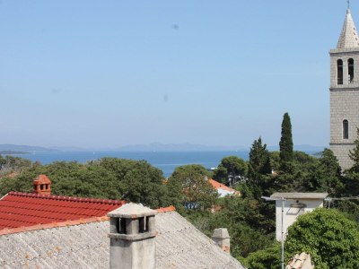 Apartment Studio flat with terrace and sea view Božava, Dugi otok AS-8100-a - Outdoor photo 15