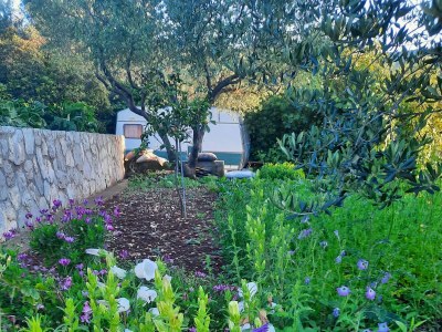 Apartment Two bedroom apartment near beach Luka Dubrava, Pelješac A-21647-b - Outdoor photo 6