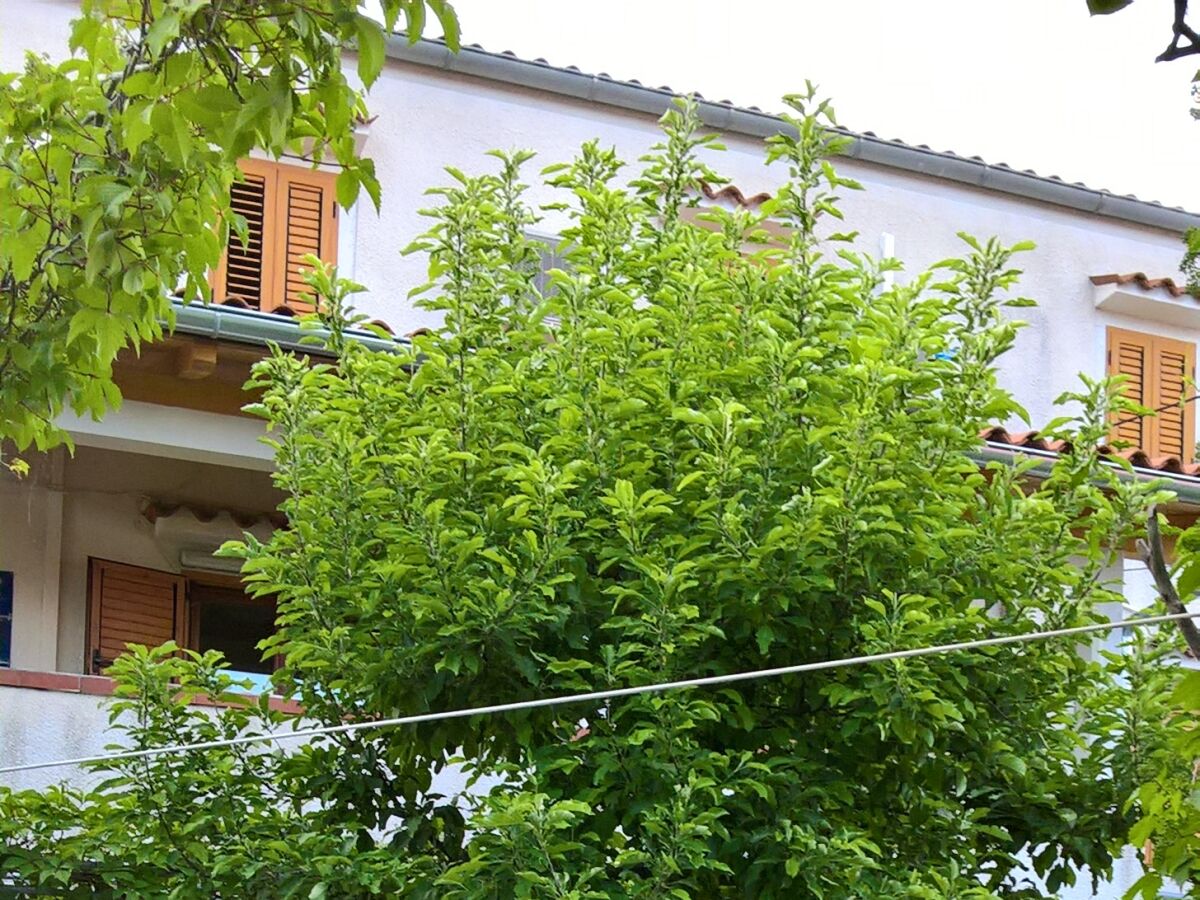 Holiday room Apartments and rooms with parking space Nerezine, Lošinj - 8049 - Outdoor photo 3