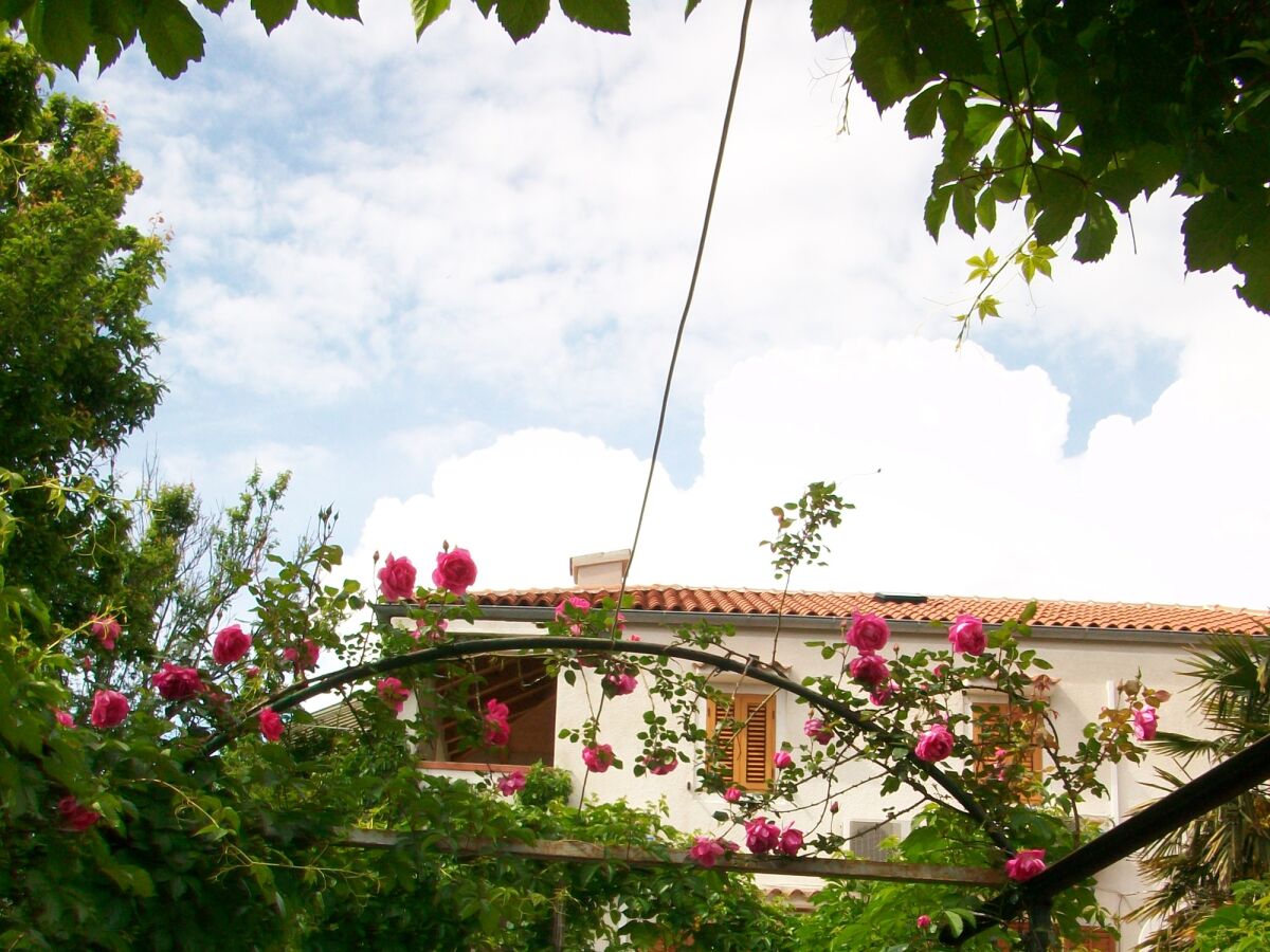 Holiday room Apartments and rooms with parking space Nerezine, Lošinj - 8049 - Outdoor photo 4