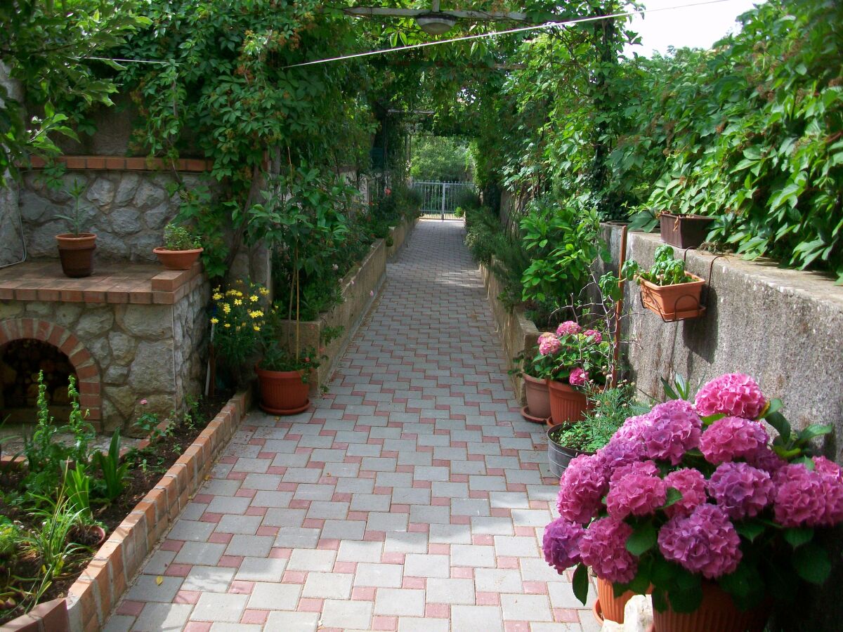 Holiday room Apartments and rooms with parking space Nerezine, Lošinj - 8049 - Outdoor photo 5