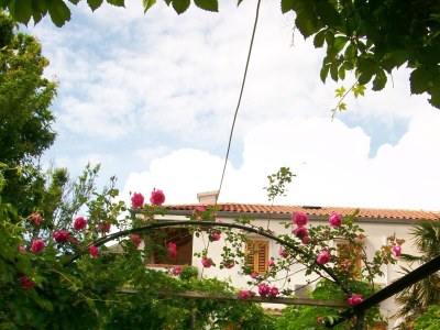 Holiday room Apartments and rooms with parking space Nerezine, Lošinj - 8049 - Outdoor photo 4