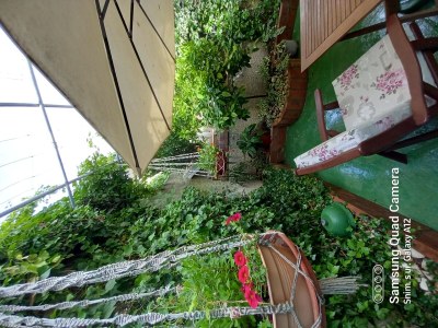 Holiday room Apartments and rooms with parking space Nerezine, Lošinj - 8049 - Outdoor photo 20