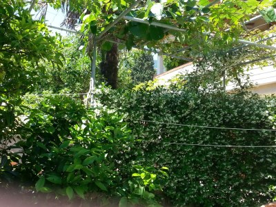 Holiday room Apartments and rooms with parking space Nerezine, Lošinj - 8049 - Outdoor photo 22