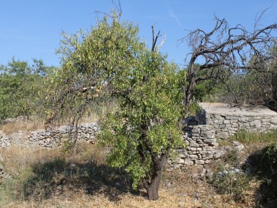 Apartment Apartments with parking space Sali, Dugi otok - 8153 - Apartments with parking space Sali, Dugi otok - 8153 - Outdoor photo 21