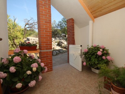 Apartment Apartments with parking space Sali, Dugi otok - 8153 - Apartments with parking space Sali, Dugi otok - 8153 - Outdoor photo 22