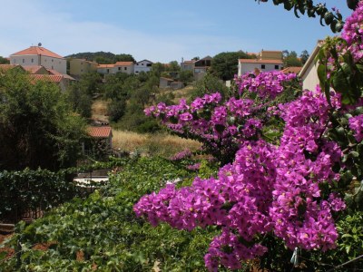 Apartment Apartments with parking space Sali, Dugi otok - 8153 - Apartments with parking space Sali, Dugi otok - 8153 - Outdoor photo 16